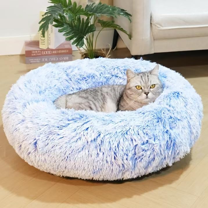 Cat Beds for Indoor Cats