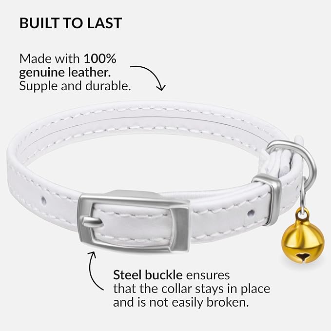 CollarDirect Leather Cat Collar with Bell - Kitten Collar, Small and Big Cat Strap for Boy Cats, Girl Cats with Safety Elastic Strap (Neck Fit 8"-11", White)