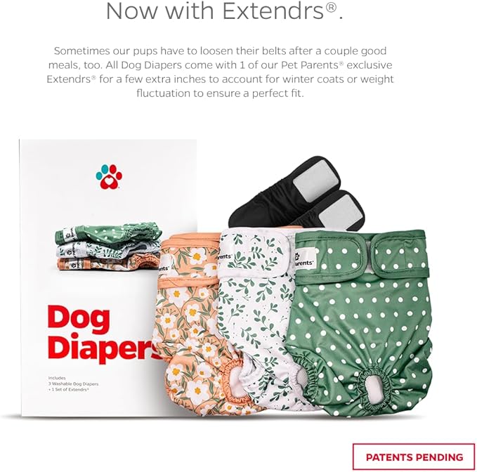 Pet Parents® Washable Dog Diapers (3pack) + Extendrs® of Durable Doggie Diapers, Premium Dog Diapers Female (Large, Daisy)