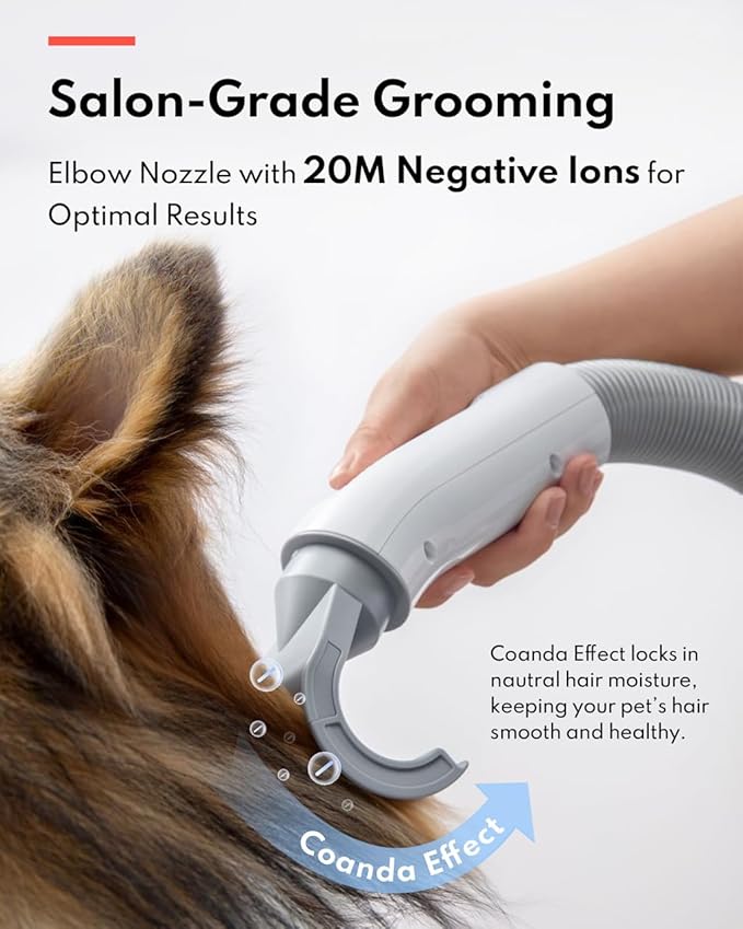 HomeRunPet Dog Dryer, Pet Hair Dryer with 99 Adjustable Wind Speed and Temperature Control, 3 Different Nozzles, Quiet Dog Blow Dryer, Professional Pet Hair Drying for Dogs
