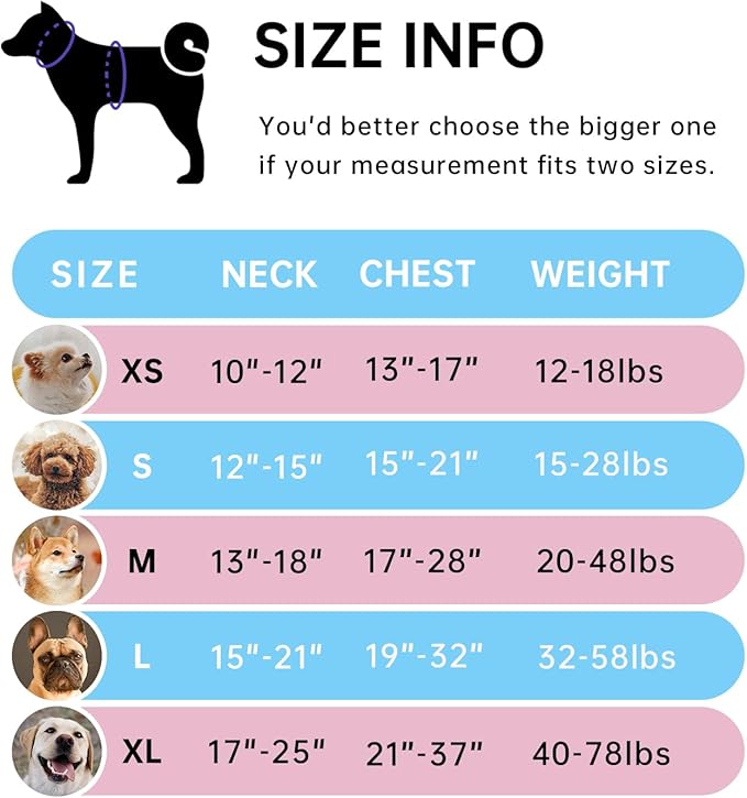 IVY&LANE No Pull Dog Harness with Leash Set, Reflective No Choke Pet Vest,Adjustable Oxford Dog Vest Harness with Easy Control Handle for Large Dogs (Checkered Blue,XL)