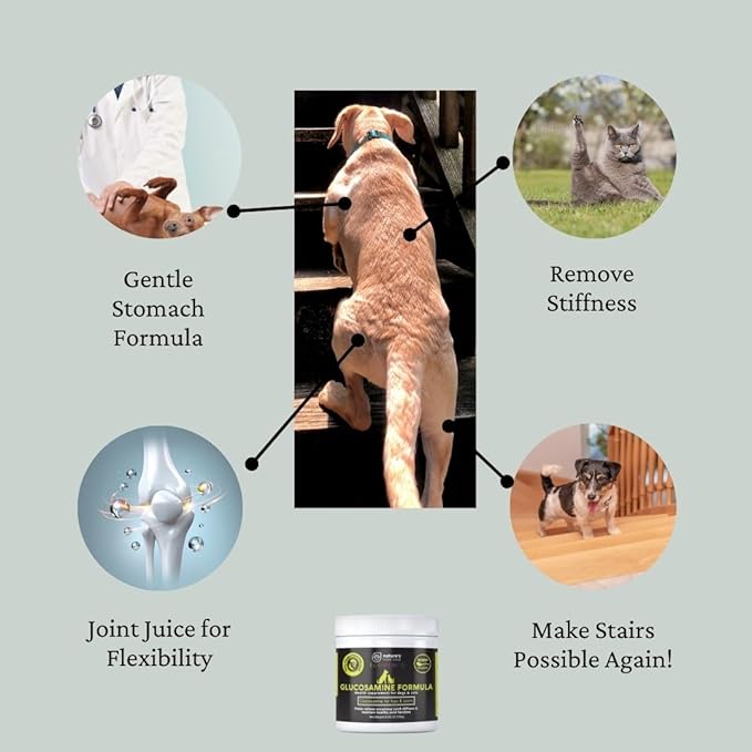 Nature's Pure Edge Original Extra Strength Glucosamine Dog and Cat Supplement Flavored with Real Chicken. Treats Painful and Damaged Joints. 170 gram Jar.