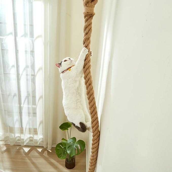 SHENGOCASE 1.9" x 6.56Ft Cat Climbing Jute Rope with Hook, Wall Mounted Furniture for Indoor and Outdoor Cat, Cimbing Pole (6.56 Feet)