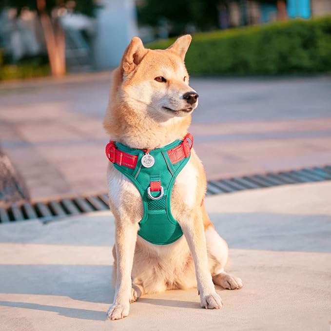 PHOEPET No Pull Dog Harness, Unique Colors Reflective Adjustable Dog Vest, with Soft Training Handle Metal Clips for Small Medium Large Dogs (Dark Green Base & Red Straps,S)