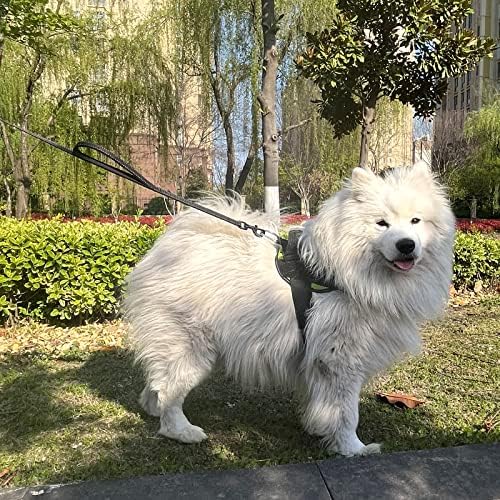 Joytale Dog Leash for Large Dogs that Pull, Double Handle