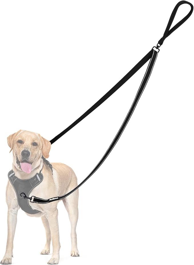 PetBonus Two Point Control Dog Leash, Works with No Pull Harnesses, No Tangle Training Leashes, Soft Padded and Reflective Walking Lead, Converts to Single Lead for Medium Large Dogs (Black)