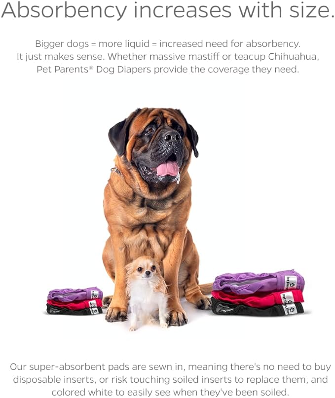 Pet Parents® Washable Dog Diapers (3pack) + Extendrs® of Durable Doggie Diapers, Premium Dog Diapers Female (X-Small, Princess)