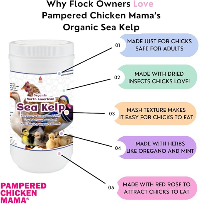 Organic Kelp for Chickens & Duck Feed (1 Pound): Chicken Vitamins | Chicken Supplements | Vitamins for Chickens | Pampered Chicken Mama