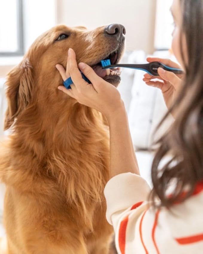 Pet Toothbrushing Assistant for Dogs and Cats Allows You to Brush Your pet’s Teeth Without Constantly Worrying About Getting Bitten Medium Size for Pets Between 15-85 lbs. (7-38.5 Kg)