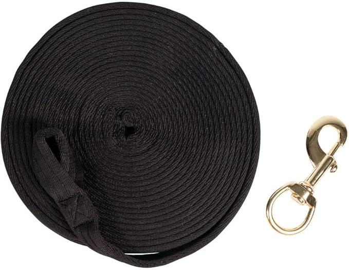 Dura-Tech Cushion Lunge Line for Horses | Stable Use & Horse Training | Horse Lunge Line with Snap | Durable Horse Lead Rope | 30 Foot Length | Replaceable Brass Snap