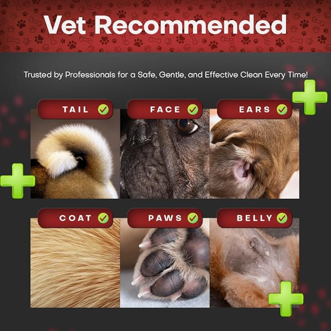 2% Chlorhexidine Wipes for Dogs 3X Larger | Yeast Infection Ringworm Fungus Hot Spot Itch Relief | Medicated Antibacterial Antifungal Extra Gentle Soothing Topical Wipes for Dog Cat | 50 Wipes