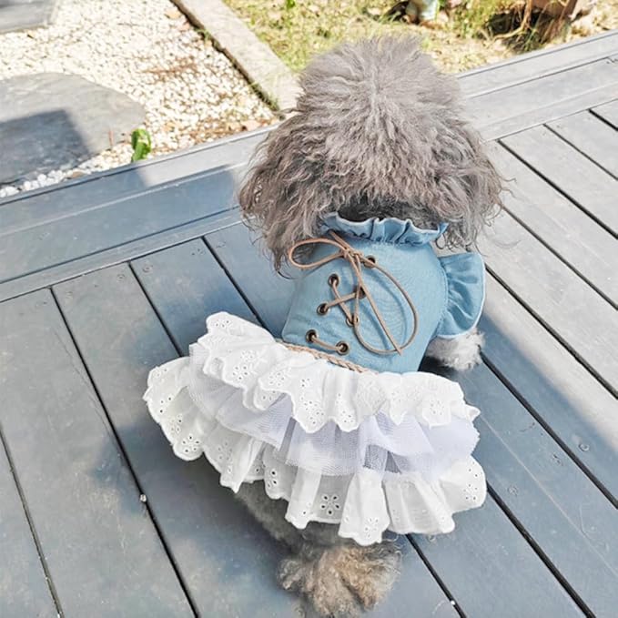 Girl Dog Denim Dress with Flared Sleeves Dog Jeans Jacket Blue White Puppy Clothes for Small Dogs Cat Apparel Cake Skirt Pet Outfit (Blue, Medium)