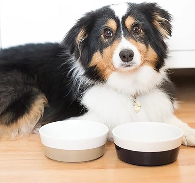Waggo Dipper Ceramic Dog Bowl for Small and Large Breeds - Heavyweight and Durable Pet Food and Water Dish Crock, Dishwasher Safe, Modern (Vintage Grey, Small)