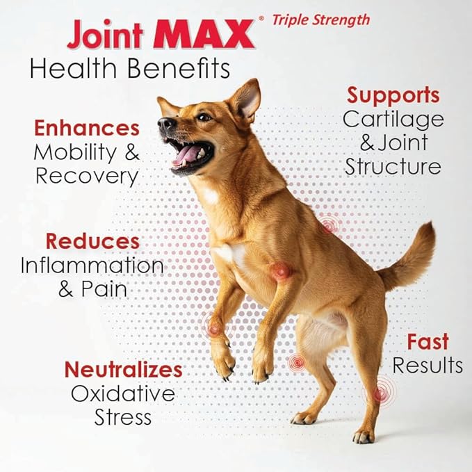 PHS Joint MAX Triple Strength (TS) Soft Chews for Dogs - Glucosamine, Chondroitin, MSM, Turmeric, Omega 3 - Hip and Joint Pain Relief and Support for Dogs - Made in USA - 30 Soft Chews
