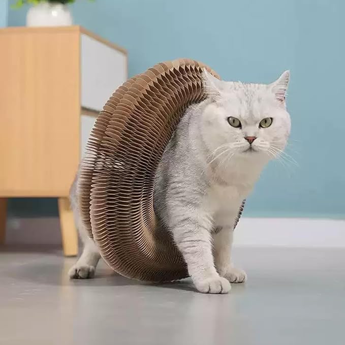 Magic Accordion Cat Scratching Board - Interactive Toy for Bored Indoor Cats, Fun & Durable Cat Toys 2Pack