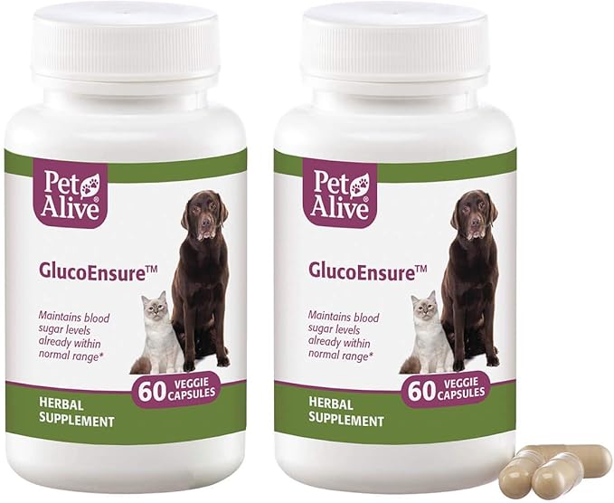 PetAlive GlucoEnsure 2 Pack