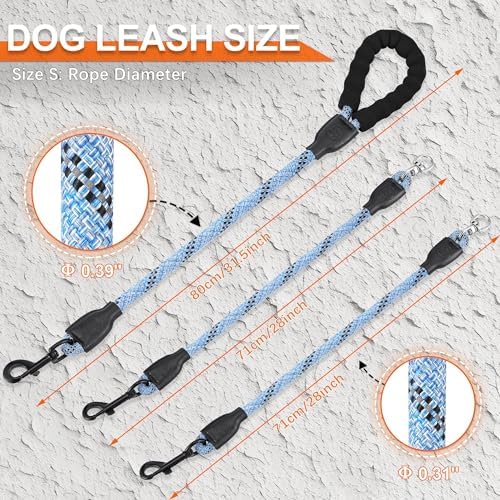 Double Dog Leash for Two Dogs