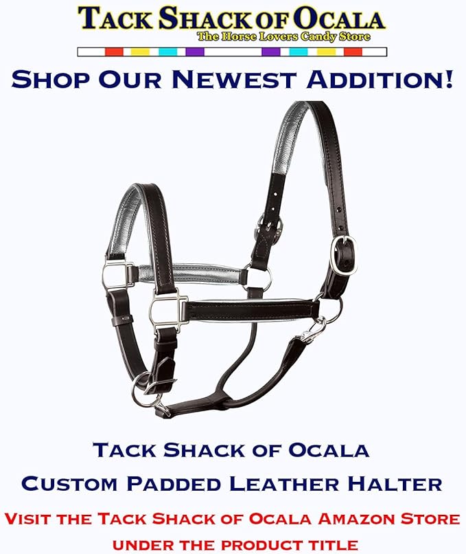 Leather Halter for Horses with Customized Engraved Name Plate Option Halter for Horse | Brown/Brass, Padded Halter (Blue or Green) Black/Brass, Black/Chrome Options