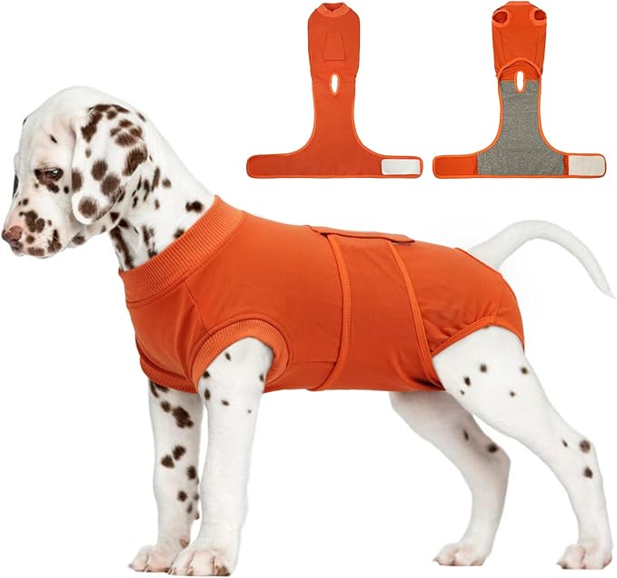 FUAMEY Dog Recovery Suit Male,Dogs Surgery Neuter Suits Puppy Spay Shirts for Female Protect Dog's Skin Anti Licking Abdominal Wounds Doggie Onesie Pet Bodysuit Alternative to Cone Orange XS
