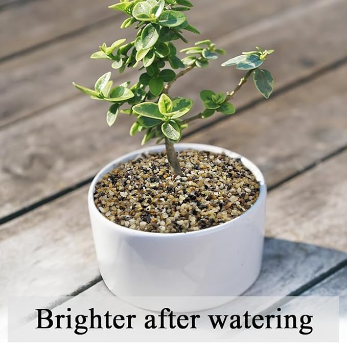 20lbs Fish Tank Sand, 1/16 inch Small Aquarium Gravel. Decorative Pea Gravel River Rocks for Air Plants, Vase Fillers, Landscaping and Succulent Soil Cover