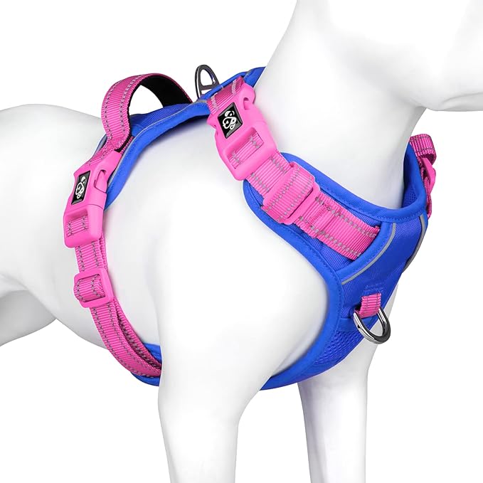 PHOEPET No Pull Dog Harness, Unique Colors Reflective Adjustable Dog Vest, with Soft Training Handle Metal Clips for Small Medium Large Dogs (Royal Blue Base & Pink Straps,M)