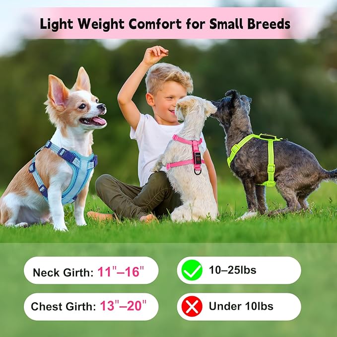 Rechargeable Light Up Dog Harness for Small Dogs – Adjustable LED Dog Vest with Reflective Strips, No Pull Glow in The Dark Puppy Harness for Night Walking Safety-Pink