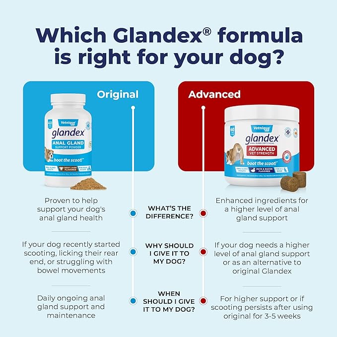 Vetnique Labs Glandex Dog Fiber Supplement Powder for Anal Glands with Pumpkin, Digestive Enzymes & Dog Probiotics for Digestive Health - Vet Recommended - Boot The Scoot (Vegan Salmon, 4.0oz Powder)
