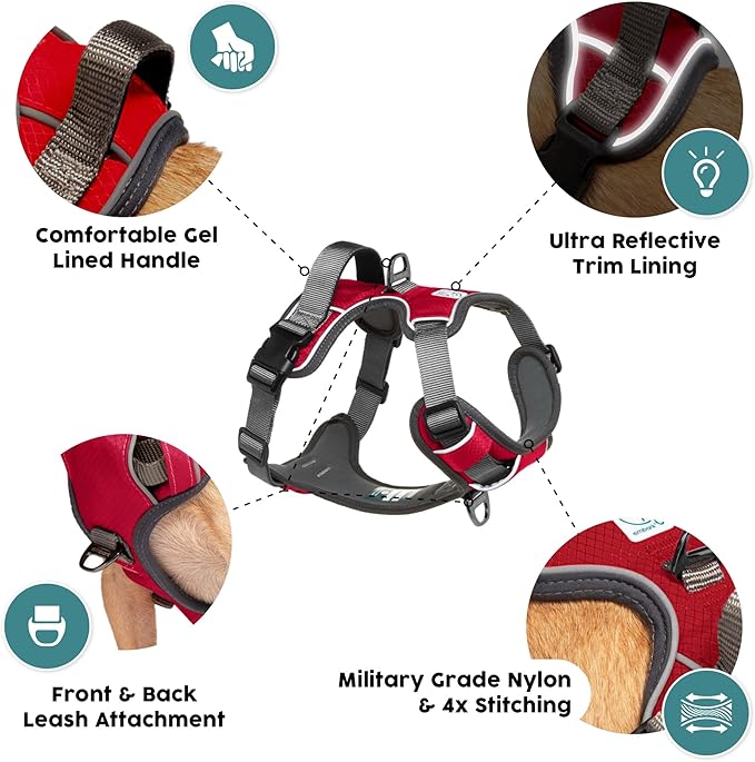 Embark Adventure Dog Harness, Reflective Trim No Pull Dog Harnesses for Small Sized Dogs - Military Grade Nylon, Front Clip with Gel Lined Handle.