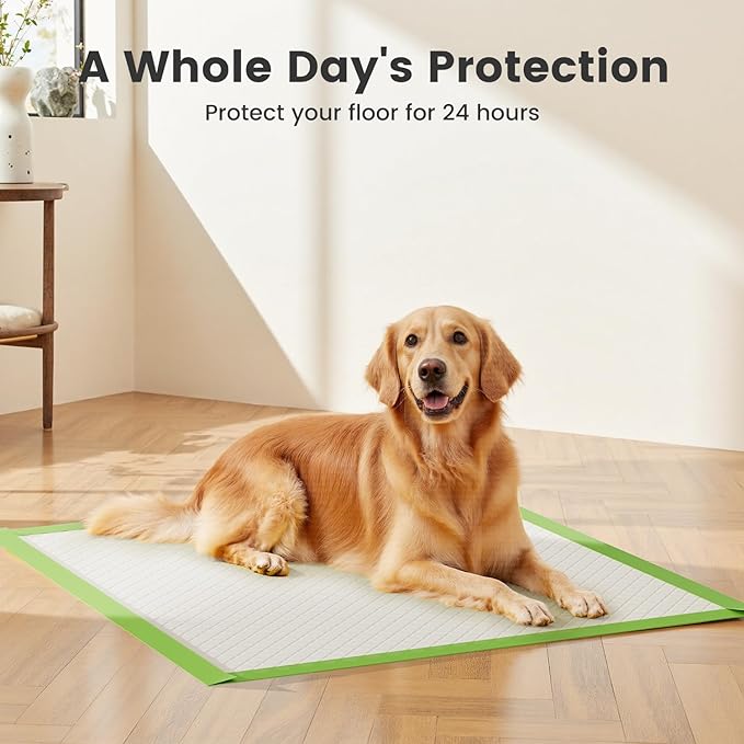 Gardner Pet Dog Pee Pads Extra Large 29"x37", XL Thicker ECO Green Disposable XLarge Puppy Training Pads Super Absorbent Full Edge-Wrapping Pad for Dogs, Puppies, Doggie, Cats, Rabbits-(30 Count)