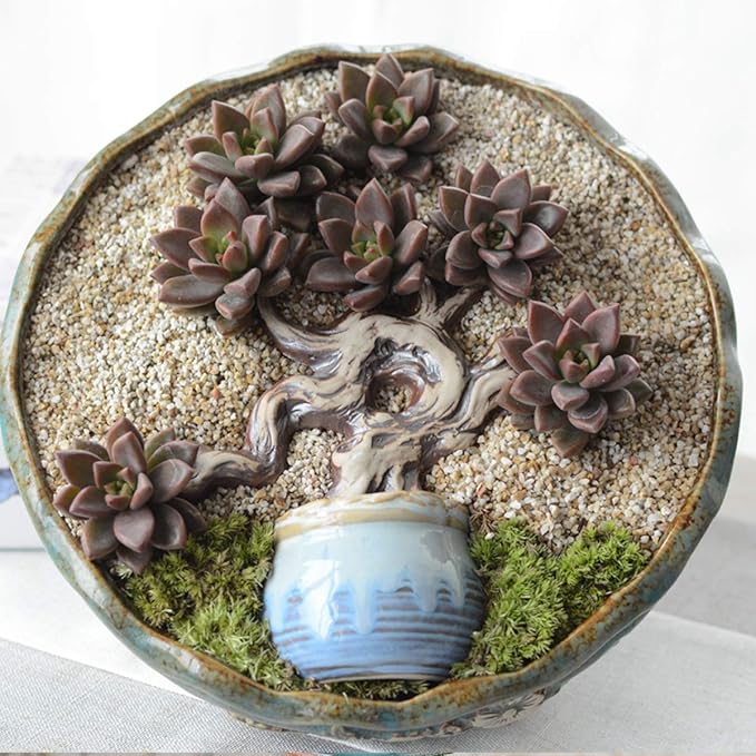 TOYPOPOR Coarse Silica Sand 2.2lb for Bonsai Cacti Succulent and Carnivorous Plant Mix