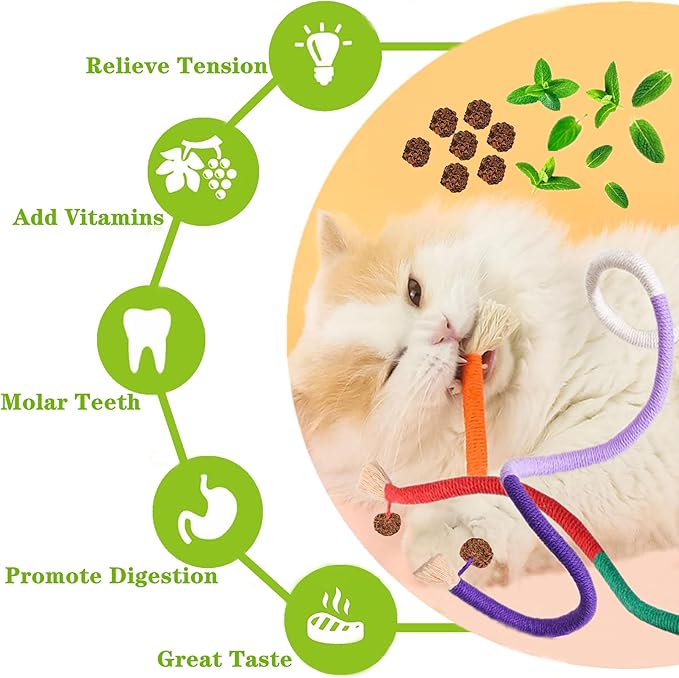 Cat Toys 21PCS Catnip Toy for Indoor Kitten Treat Cats Chew Stick for Dental Cleaning Teeth Kitten Silvervine Rope Kitty Feather Snack for for Kick Molar Scratch Self Play Interactive Boredom