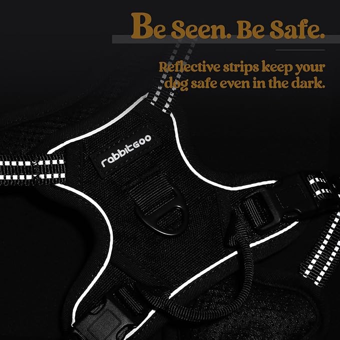 rabbitgoo Dog Harness No Pull with 2 Leash Clips, Adjustable Soft Padded, Reflective Oxford No Choke Pet Vest with Easy Control Handle for Puppy, Black, XS