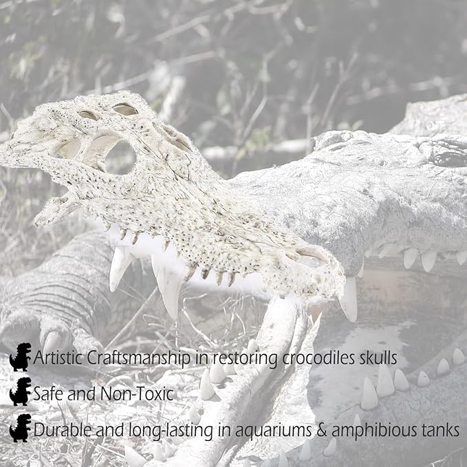Animal Skull Fish Aquarium Hideout Decorations Cave Dinosaur Reptile Ornament Halloween Décor for Terrarium Large Betta Decor Bones