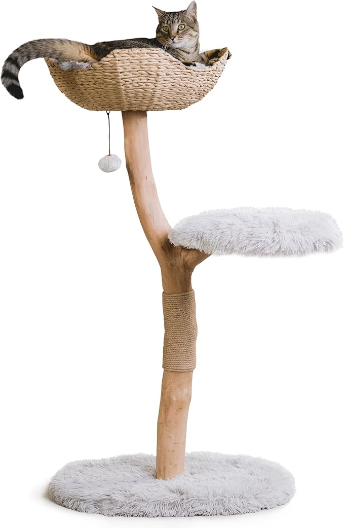 Wooden Cat Tree Tower, Modern Single Branch Cat Condo, Wood Cat Tree, Cat Climbing, Furniture for Cat, Cat Lover Gift, Cat Furniture,Cat Gift by MAU LIFESTYLE (Bullet Gray)
