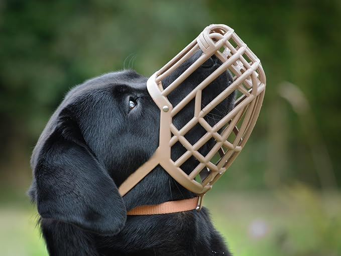 Leather Brothers Italian Basket Dog Muzzle, Adjustable Secure Fit, Comfortable Design, Training and Safety, Averts Biting, Prevents Chewing and Scavenging, Perfect for Grooming - Tan, Size 9
