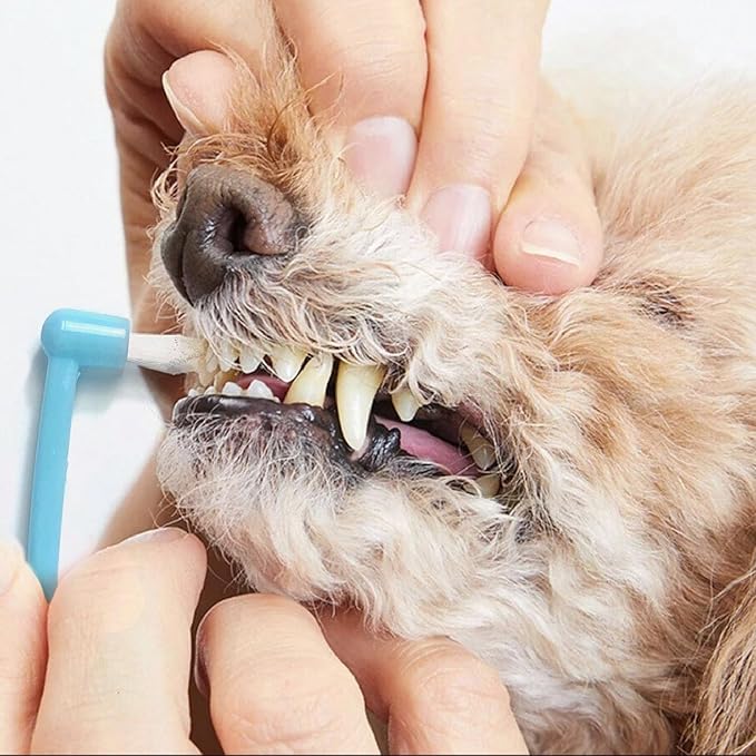 Dog Toothbrush, 360 Degree Finger Toothbrush, Triple Head Toothbrushes,Cleaning Brushes for Dog Cat Oral Dental Health (12 Kit)
