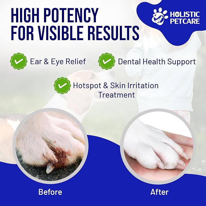 Colloidal Silver Spray for Dogs, Cats, Horses & Birds - 20 PPM Effective Wound Care, Hot Spot Treatment, Skin Relief & Immune Support - All-Natural Pet Silver Spray (16 Oz)