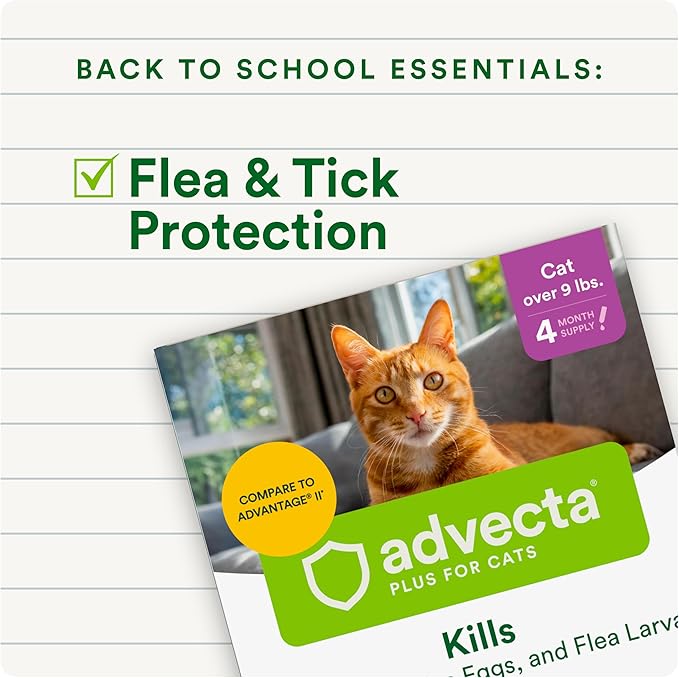 Plus Flea Prevention for Cats, Cat and Kitten Treatment & Control, Small and Large, Fast Acting Waterproof Topical Drops, 2 Month Supply
