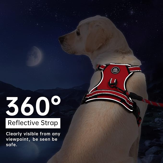 IVY&LANE No Pull Dog Harness for Small Dogs, Dog Vest Harness with Leash, Safety Belt and Storage Strap, Fully Adjustable, 360° Reflective Strip, Soft Handle (Red, S)