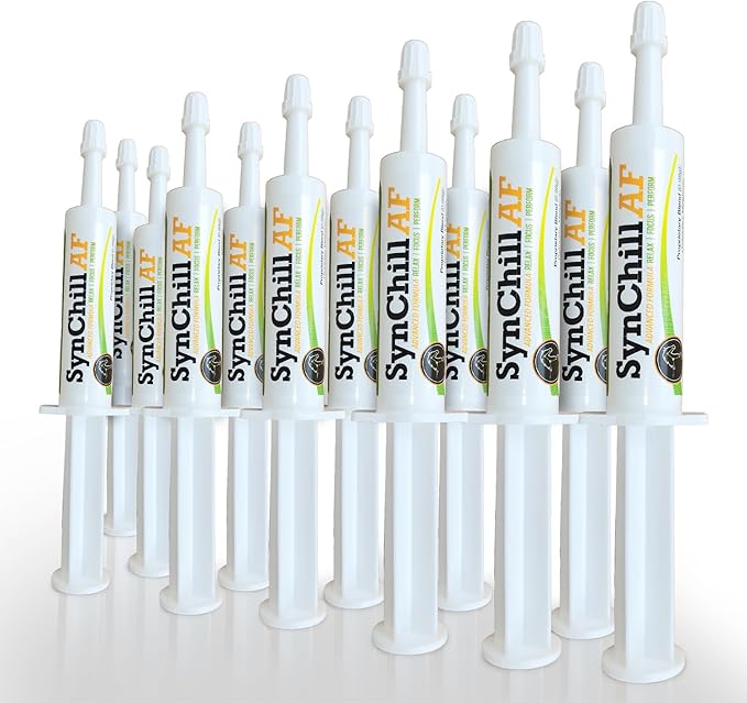 SynChill AF Calming Gel for Nervous Horses - Single Serving - Advanced Formula with L-Theanine, Increased Potency, 100% Natural Supplement, Disposition & Confidence Support for Horses - 12 Pack