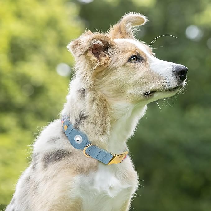 AirTag Dog Collar for Small Medium Large Breed - Adjustable Cute Pattern Dog Collar with Airtag Holder and Metal Buckle - Soft Leather Tracker GPS Apple Air Tag Pet Collars for Puppy Girl Boy Female