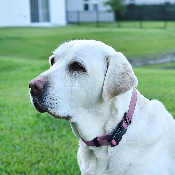 Dogline Biothane Waterproof Dog Collar with Quick Release Buckle Strong Coated Nylon Webbing with Odor- Proof for Easy Care Easy to Clean Fits Small Medium Large Dogs, Amethyst Purple 5/8" W 9-14" L