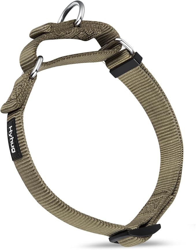 Hyhug Premium Upgraded Sturdy Nylon Escape-Proof Martingale Dog Collar for Large Breeds Dogs Comfy and Safe - Walking, Professional Training, Daily Use. (Large, Military Green)