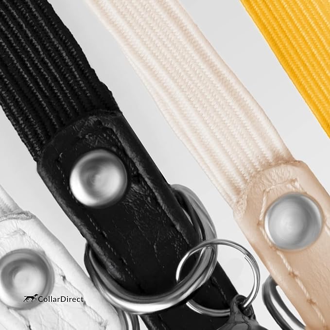 CollarDirect Leather Cat Collar, Kitten Collar with Removable Bell Black Blue Red Orange Lime Green (8-11 Inch, Lime Green)