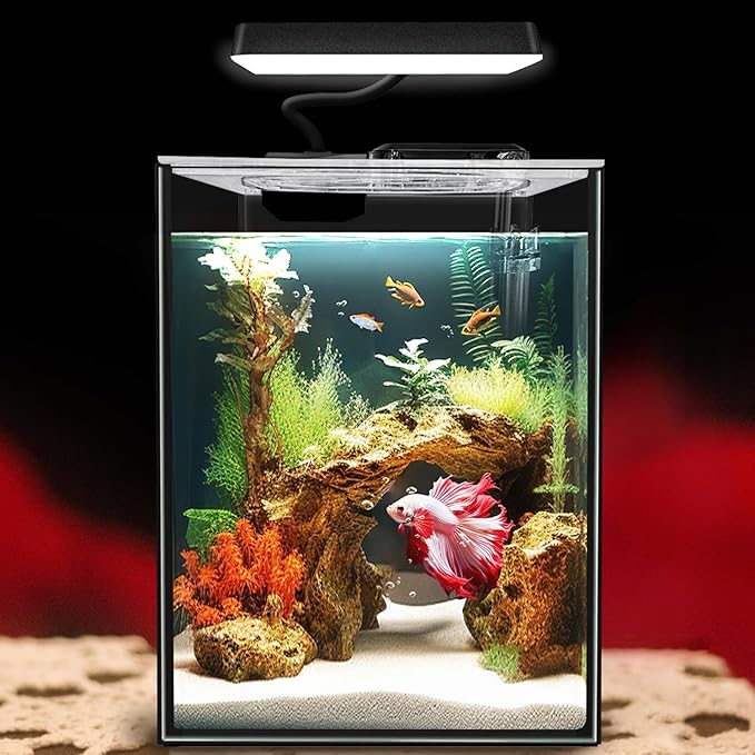 Glass Betta Aquarium Starter Kits 1.5 Gallon Small Fish Tank, Betta Fish Tank with LED Light, Power Filter, Black. 4mm Glass