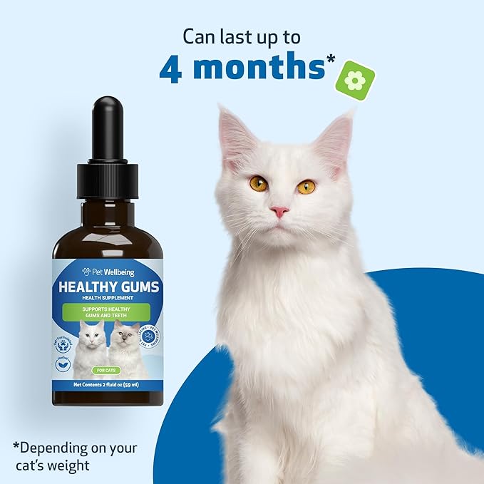Pet Wellbeing - Healthy Gums for Cats - Natural Support for for Healthy Gums, Teeth and Breath in Felines - 2oz (59ml)