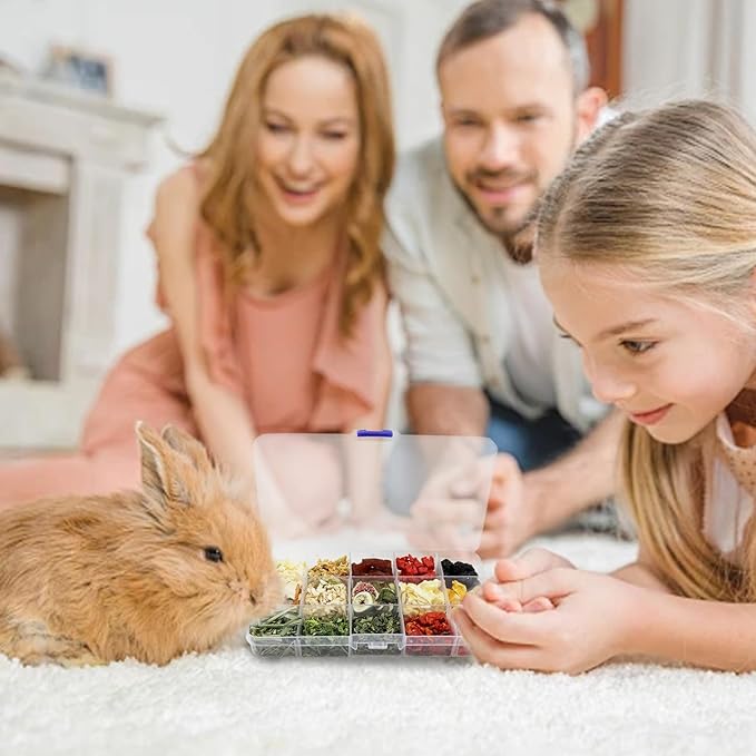 Bunny Treats, Treat Box with 15 Kind of Snacks for Rabbit, Hamster, Chinchilla, Guinea Pig and Other Small Pets, Chinchilla Treats, Guinea Pig Treats, Hamster Treats