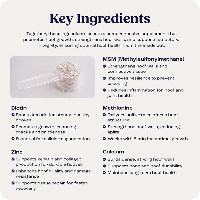 Summit Equine Hoof Strength Powder for Horses, Promotes Healthy Hooves with Biotin, Amino Acids, and Minerals, Horse Hoof Supplement,11 oz, 30-Day Supply