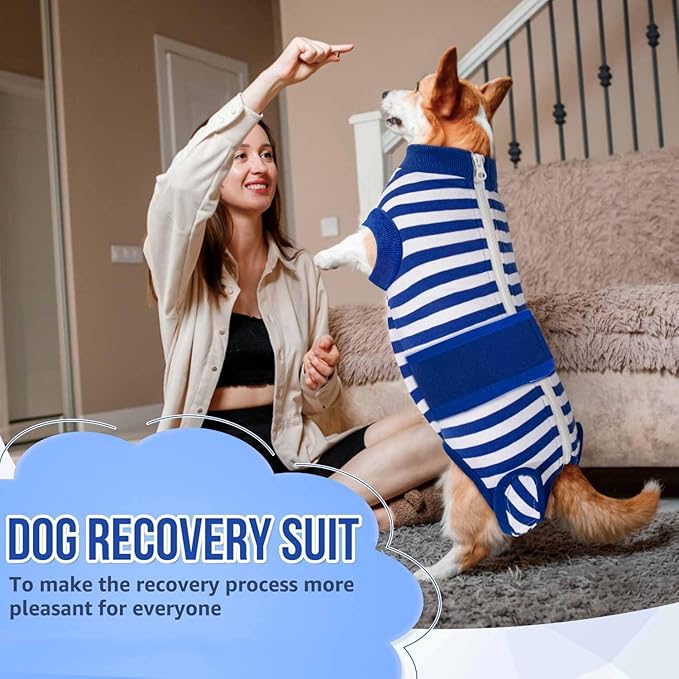Lukovee Recovery Suit for Dogs - Zipper Onesie for Female & Male Dogs, Abdominal Wounds Cone E-Collar Alternative, Prevent Licking - Spay Recovery Suit (Small, Blue & White)