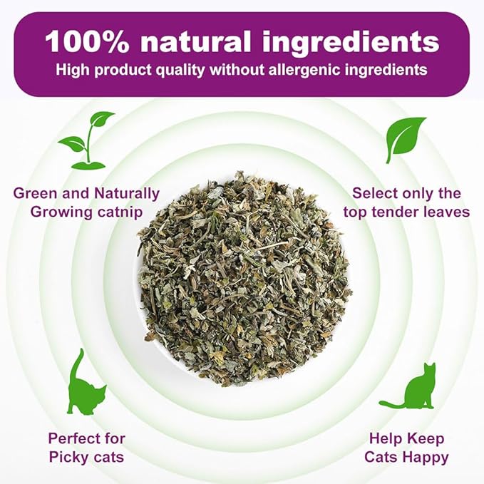 Organic Natural Catnip Cattle Grass Mint Taste Funny Cat Toy New Cat Toy Interactive Cat Toys Pet Supplies